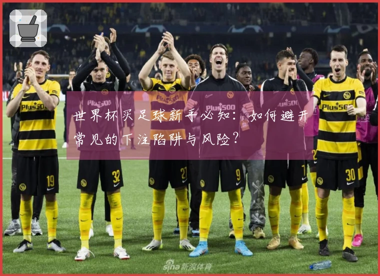 世界杯买足球新手必知：如何避开常见的下注陷阱与风险？