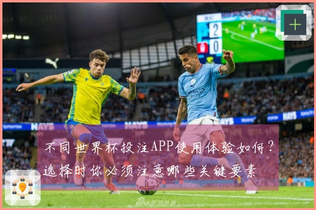 不同世界杯投注APP使用体验如何？选择时你必须注意哪些关键要素