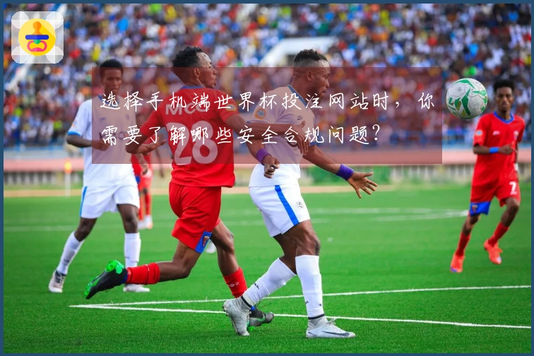 选择手机端世界杯投注网站时，你需要了解哪些安全合规问题？