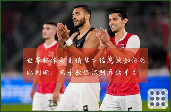 世界杯体彩竞猜盘口信息该如何对比判断，老手教你识别真伪平台