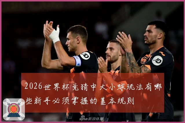 2026世界杯竞猜中大小球玩法有哪些新手必须掌握的基本规则