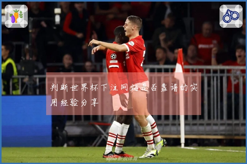 判断世界杯下注网站是否靠谱的实用经验分享
