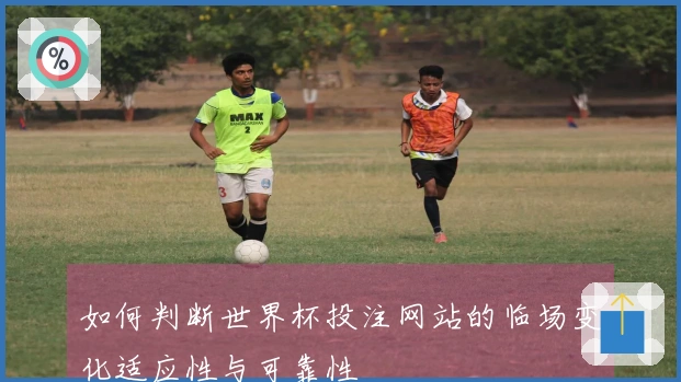 如何判断世界杯投注网站的临场变化适应性与可靠性