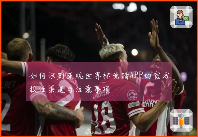 如何识别正规世界杯竞猜APP的官方投注渠道与注意事项