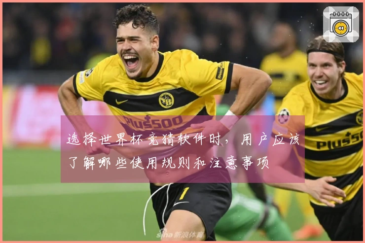 选择世界杯竞猜软件时，用户应该了解哪些使用规则和注意事项