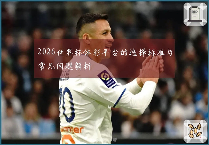 2026世界杯体彩平台的选择标准与常见问题解析