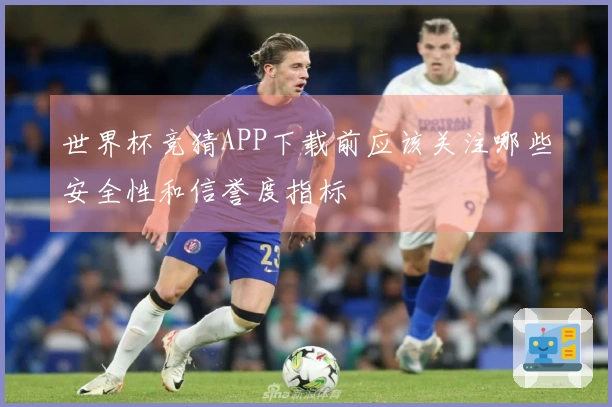 世界杯竞猜APP下载前应该关注哪些安全性和信誉度指标