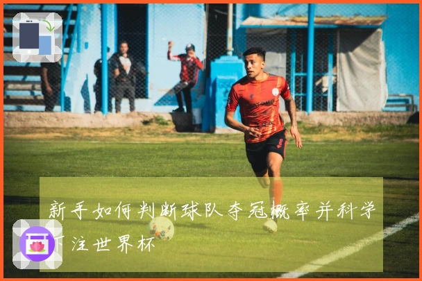 新手如何判断球队夺冠概率并科学下注世界杯