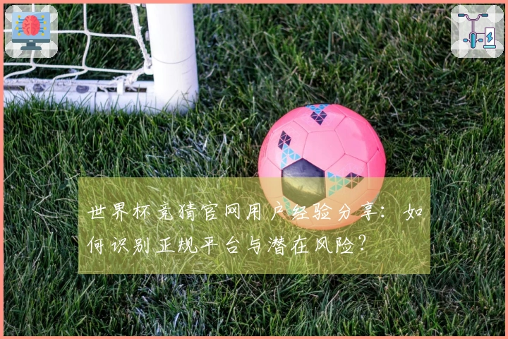 世界杯竞猜官网用户经验分享：如何识别正规平台与潜在风险？