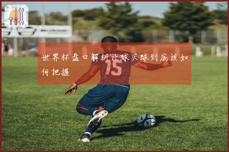 世界杯盘口解析让球买球到底该如何把握