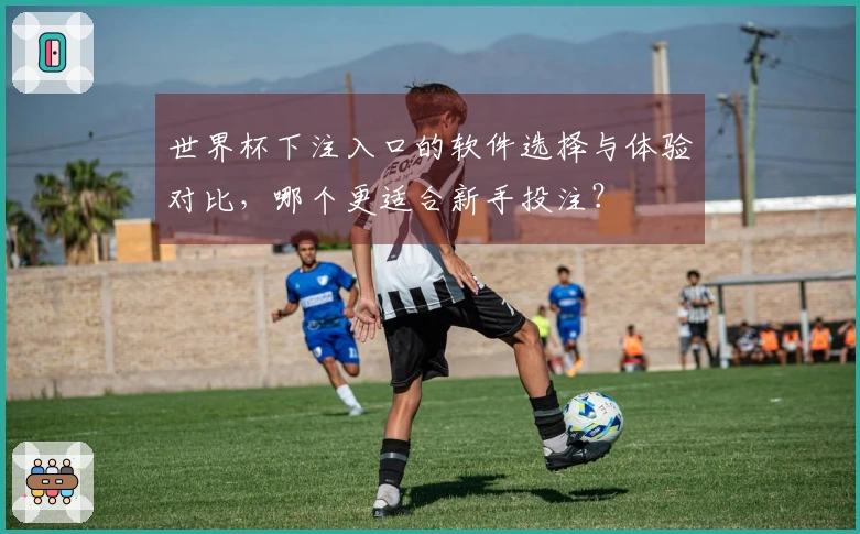 世界杯下注入口的软件选择与体验对比，哪个更适合新手投注？