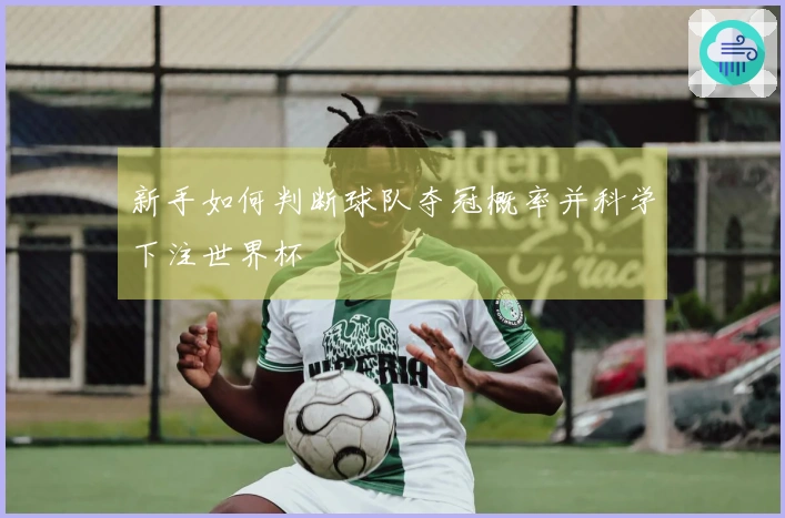 新手如何判断球队夺冠概率并科学下注世界杯