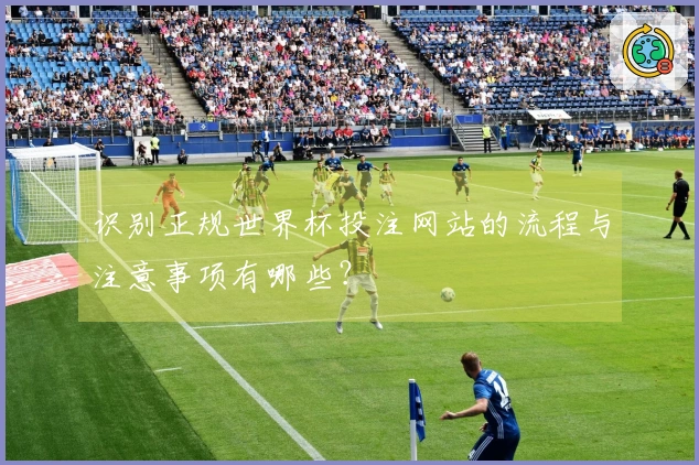 识别正规世界杯投注网站的流程与注意事项有哪些？