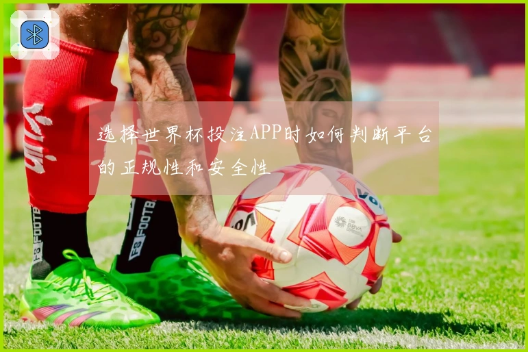 选择世界杯投注APP时如何判断平台的正规性和安全性