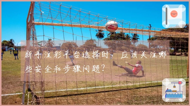 新手注彩平台选择时，应该关注哪些安全和步骤问题？