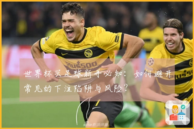 世界杯买足球新手必知：如何避开常见的下注陷阱与风险？