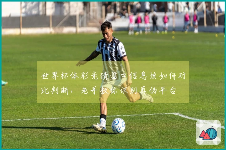 世界杯体彩竞猜盘口信息该如何对比判断，老手教你识别真伪平台