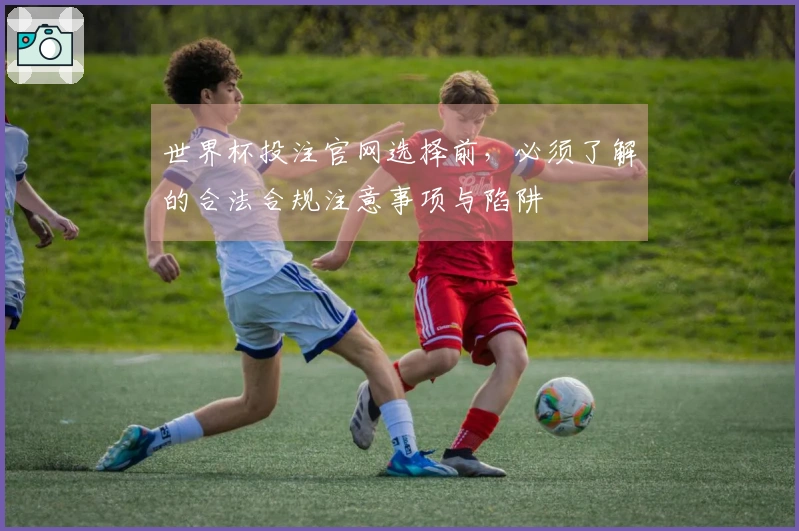 世界杯投注官网选择前,必须了解的合法合规注意事项与陷阱