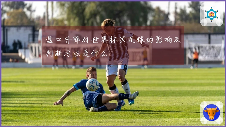 盘口升降对世界杯买足球的影响及判断方法是什么