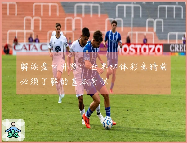 解读盘口升降：世界杯体彩竞猜前必须了解的基本常识