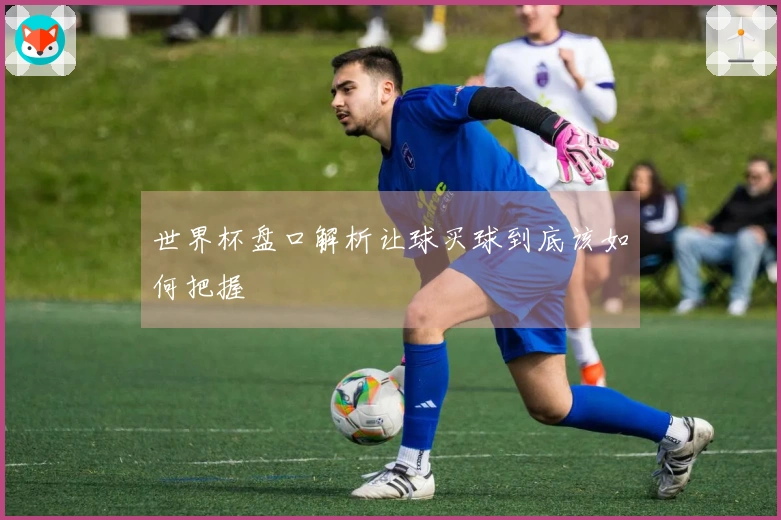 世界杯盘口解析让球买球到底该如何把握