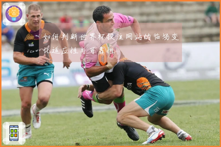 如何判断世界杯投注网站的临场变化适应性与可靠性
