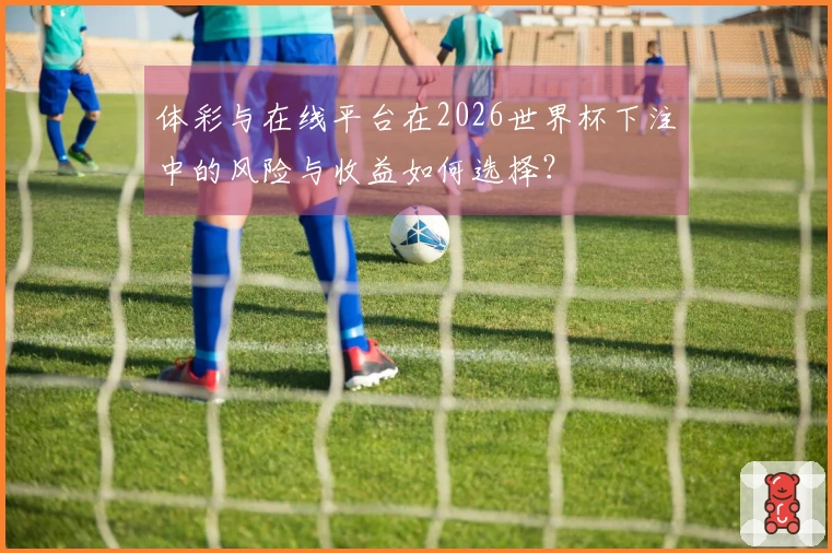 体彩与在线平台在2026世界杯下注中的风险与收益如何选择？