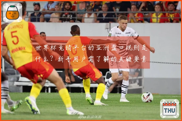 世界杯竞猜平台的亚洲盘口规则是什么？新手用户需了解的关键要素