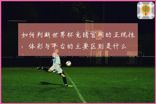 如何判断世界杯竞猜官网的正规性，体彩与平台的主要区别是什么