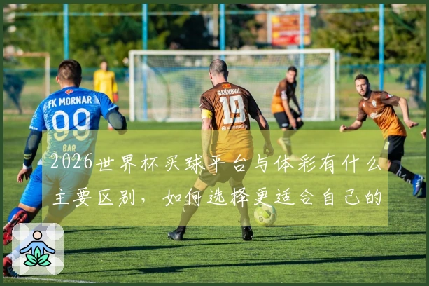 2026世界杯买球平台与体彩有什么主要区别，如何选择更适合自己的下注方式