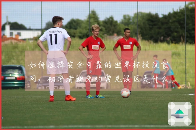 如何选择安全可靠的世界杯投注官网，初学者避免的常见误区是什么？