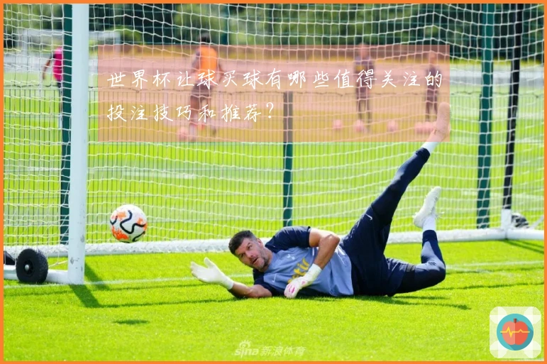 世界杯让球买球有哪些值得关注的投注技巧和推荐？