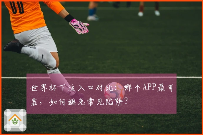世界杯下注入口对比：哪个APP最可靠，如何避免常见陷阱？