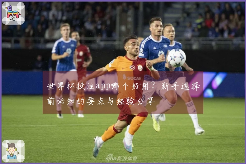 世界杯投注app哪个好用？新手选择前必知的要点与经验分享