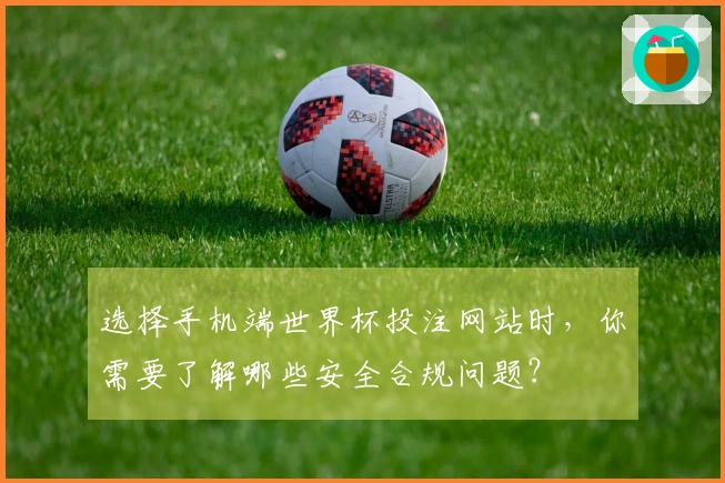 选择手机端世界杯投注网站时，你需要了解哪些安全合规问题？