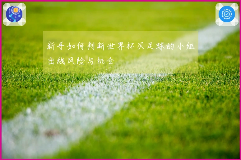 新手如何判断世界杯买足球的小组出线风险与机会