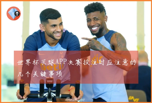 世界杯买球APP决赛投注时应注意的几个关键事项
