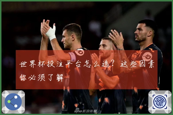 世界杯投注平台怎么选？这些因素你必须了解