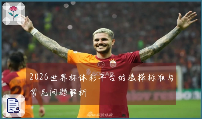 2026世界杯体彩平台的选择标准与常见问题解析